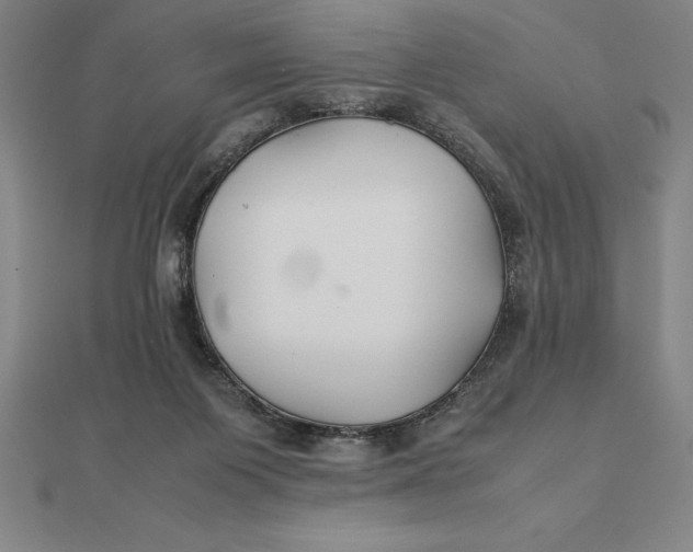 X0000112110119200908251220