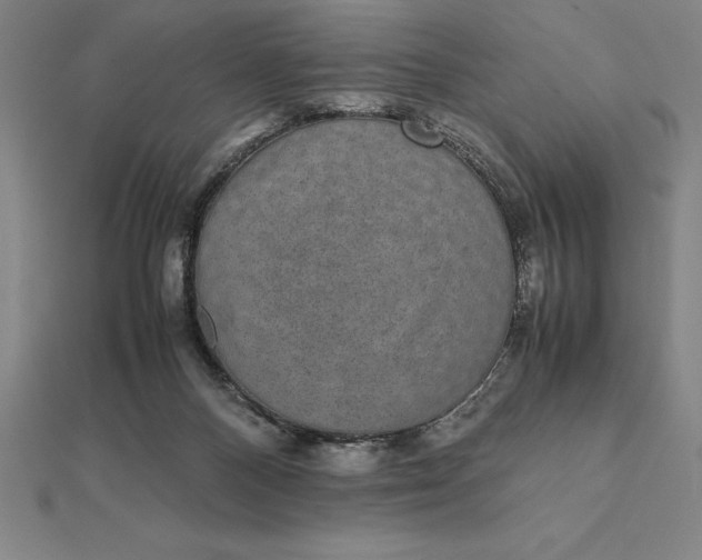 X0000112110120200908251220