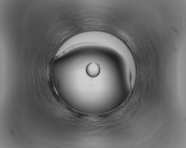 X0000112110121200908251220