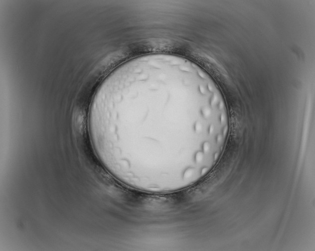 X0000112110123200908251220