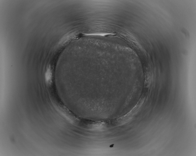 X0000112110124200908251220