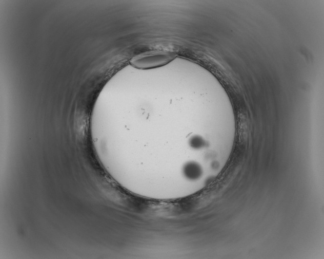 X0000112110125200908251220