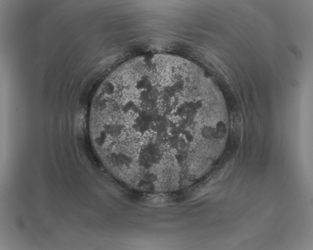 X0000112110127200908251220