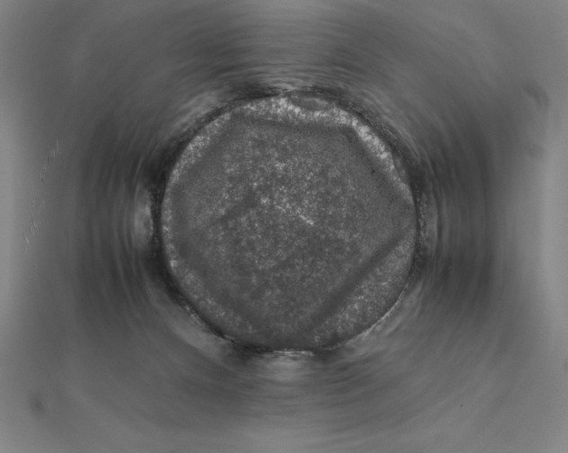 X0000112110128200908251220