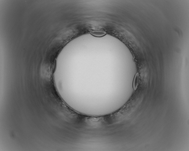 X0000112110129200908251220