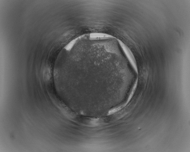 X0000112110130200908251220