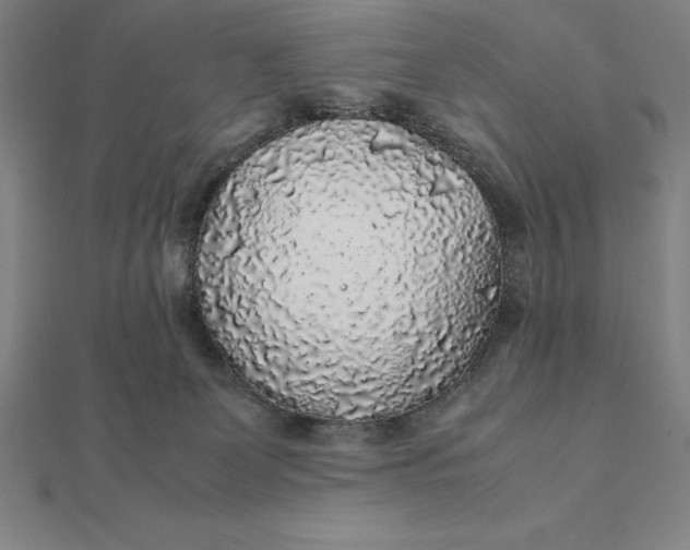 X0000112110131200908251220