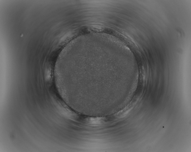 X0000112110134200908251220