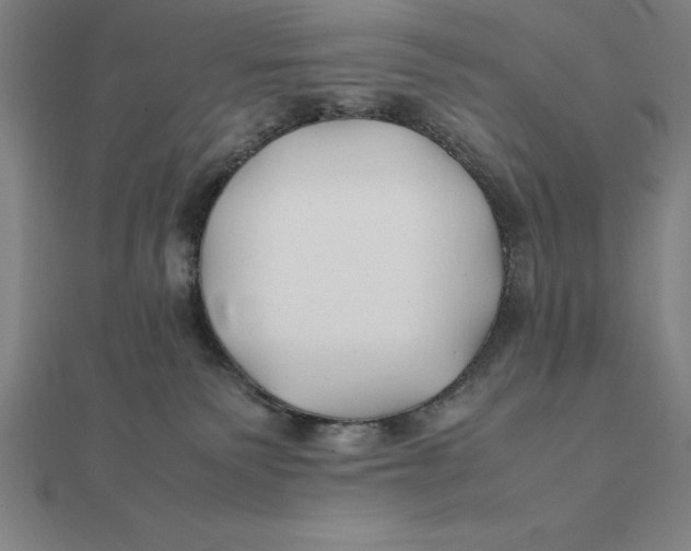 X0000112110135200908251220