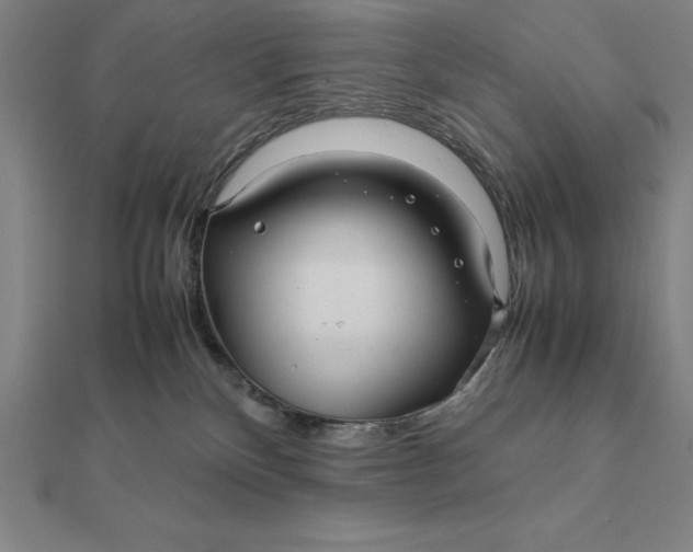 X0000112110136200908251220