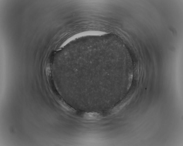 X0000112110137200908251219