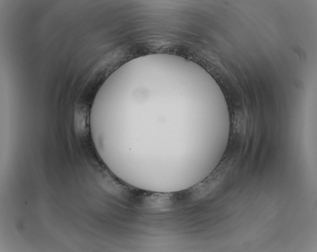 X0000112110138200908251219