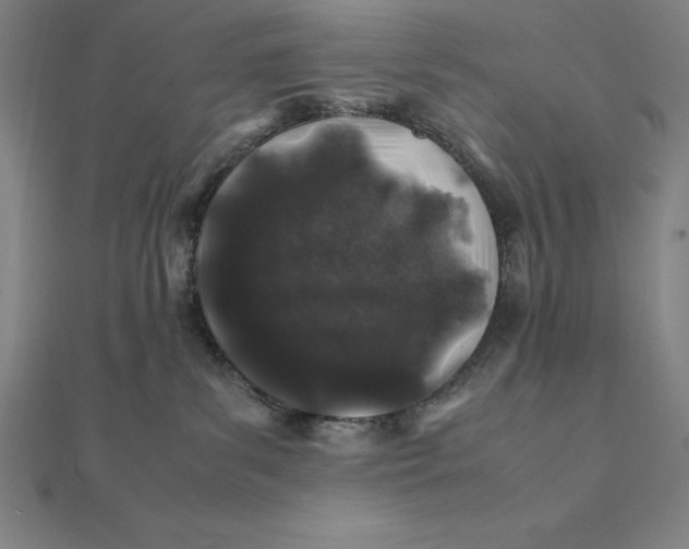 X0000112110139200908251219