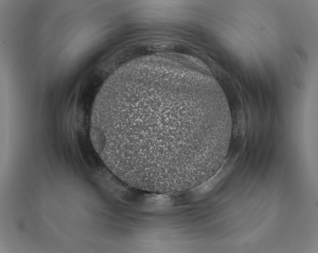 X0000112110140200908251219