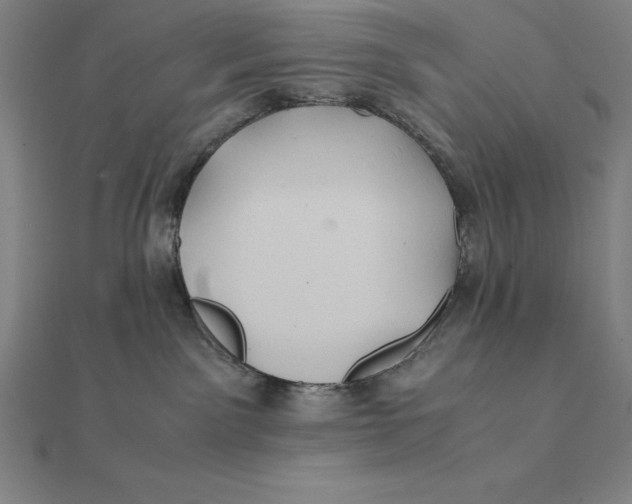 X0000112110141200908251219