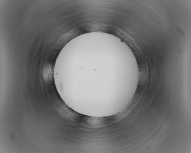 X0000112110142200908251219