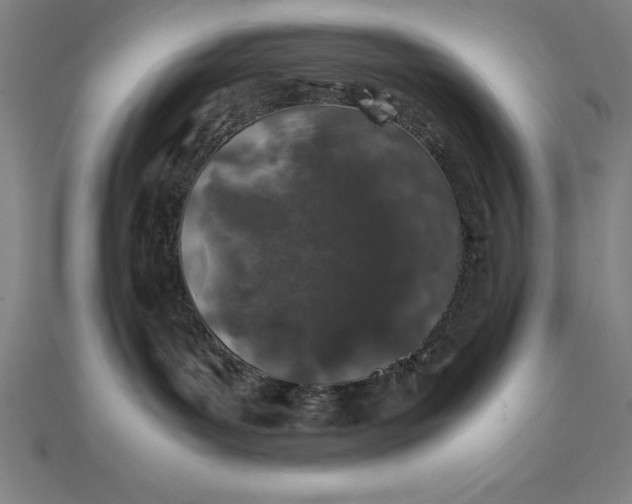 X0000112110143200908251219