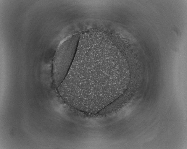 X0000112110144200908251219