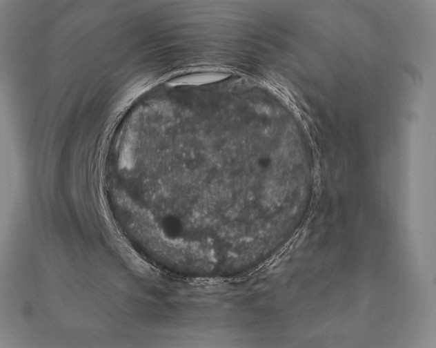 X0000112110145200908251219