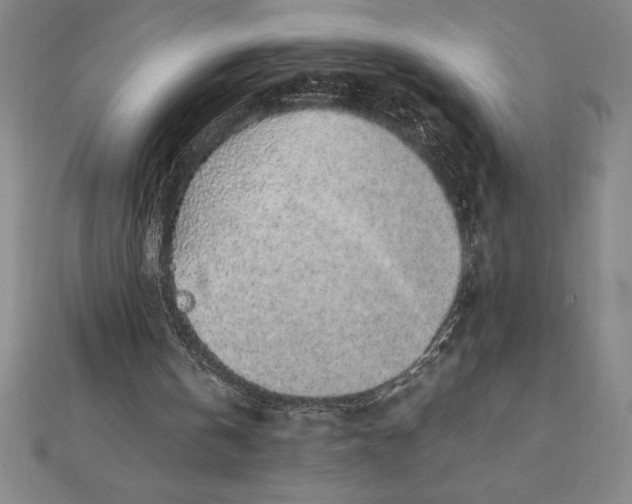 X0000112110146200908251219