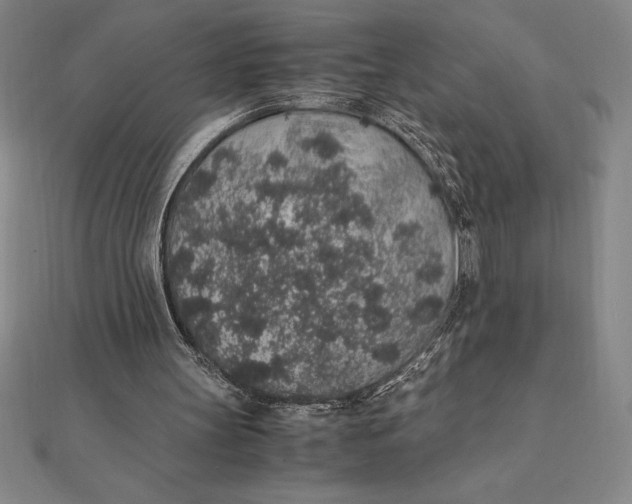 X0000112110147200908251219