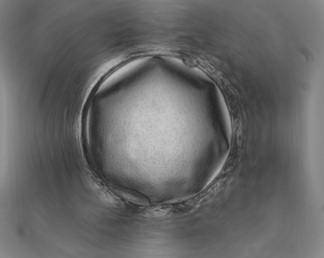 X0000112110148200908251219