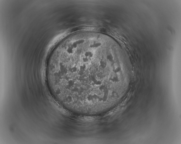 X0000112110149200908251219