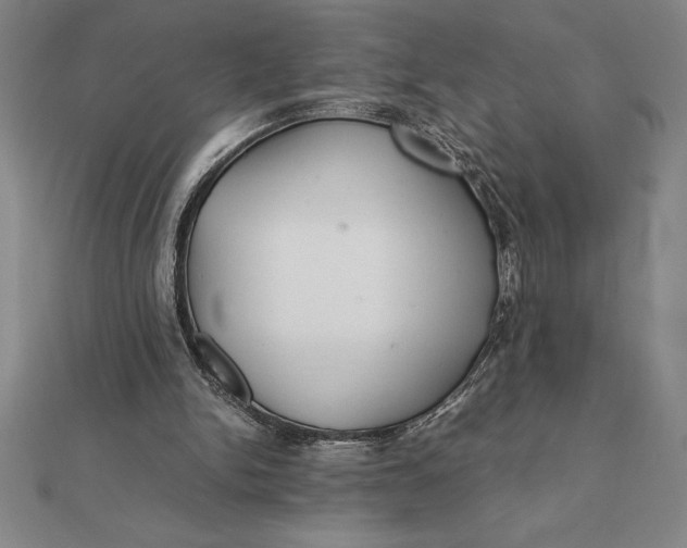 X0000112110150200908251219