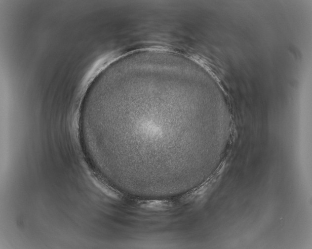 X0000112110151200908251219