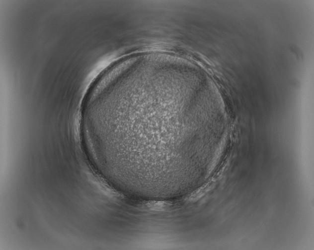 X0000112110152200908251219