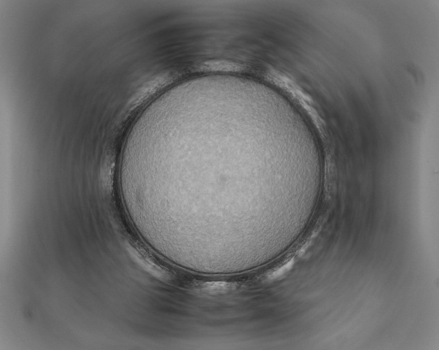 X0000112110153200908251219