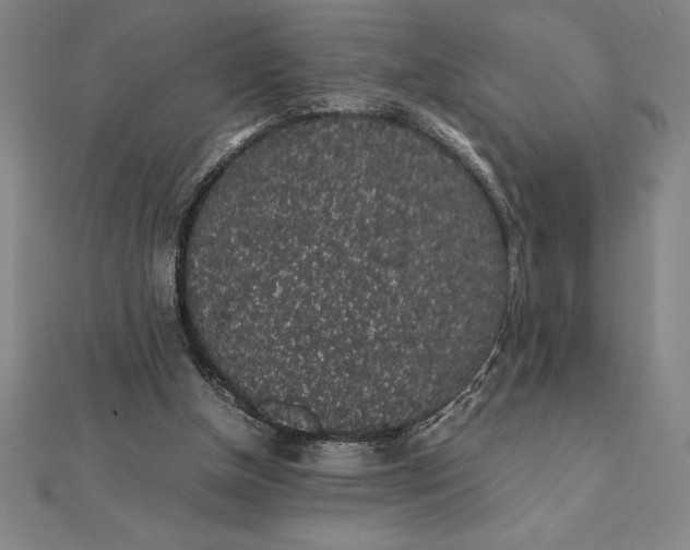 X0000112110154200908251219