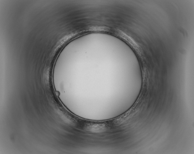 X0000112110155200908251219