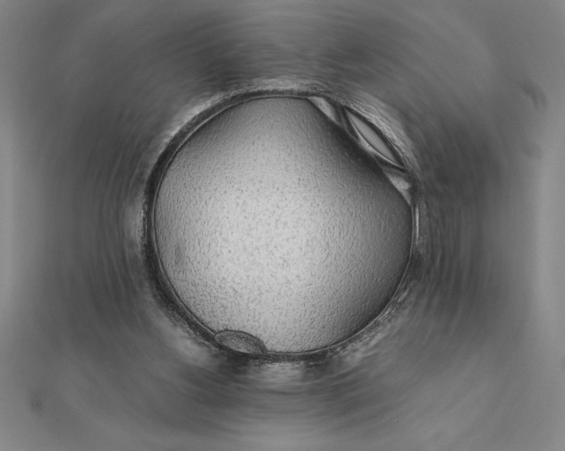 X0000112110156200908251219