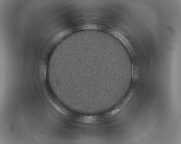 X0000112110157200908251219