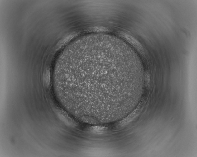 X0000112110158200908251219