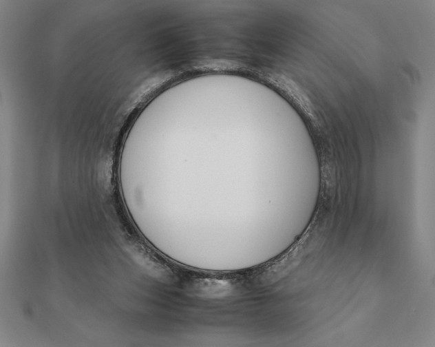 X0000112110159200908251219