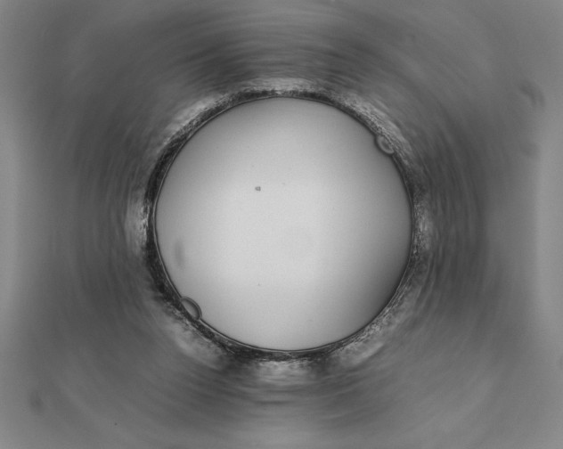 X0000112110160200908251219