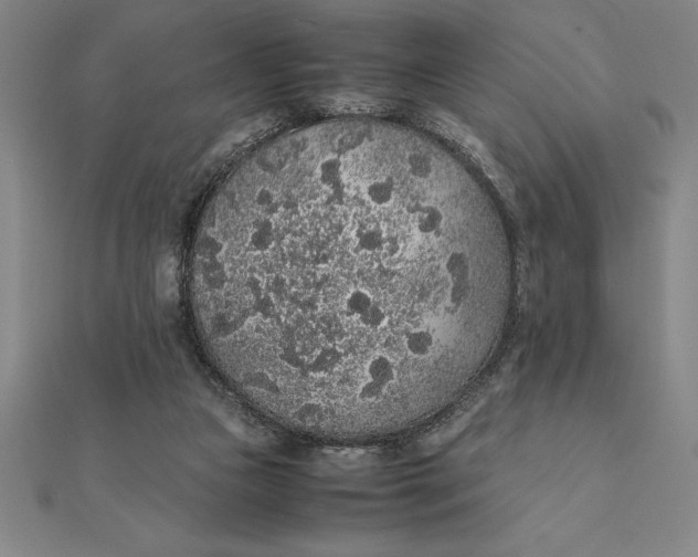 X0000112110161200908251219