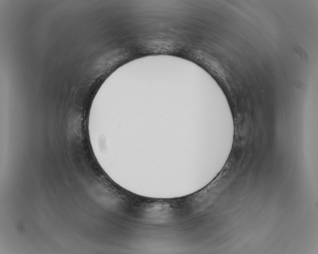 X0000112110162200908251219