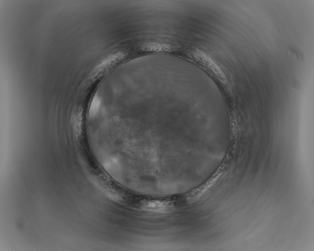 X0000112110163200908251219