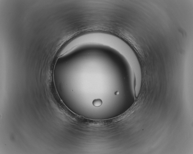 X0000112110164200908251219