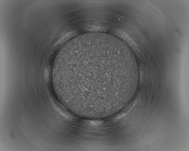 X0000112110165200908251219