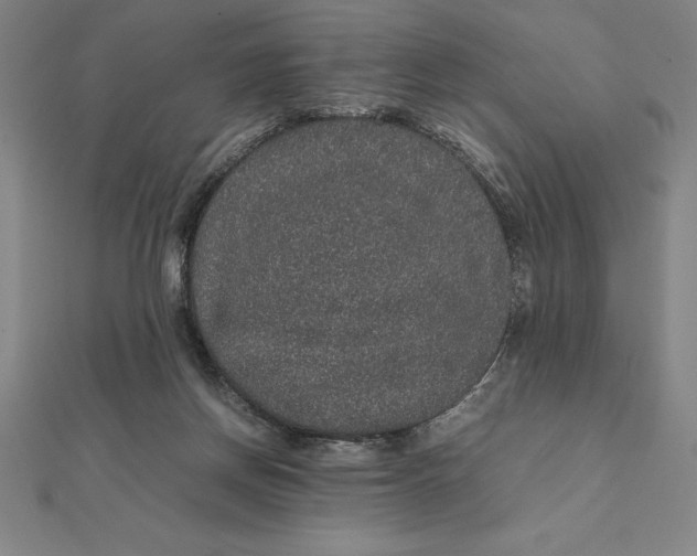 X0000112110166200908251219