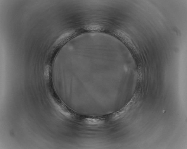 X0000112110167200908251219