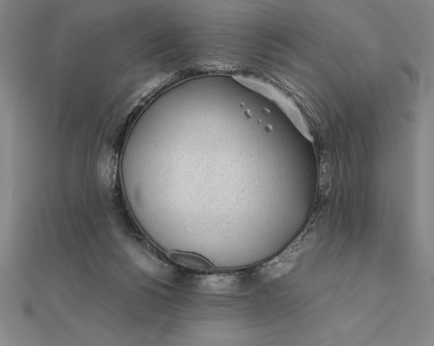 X0000112110168200908251219