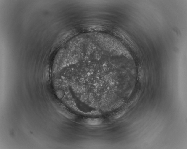 X0000112110169200908251219