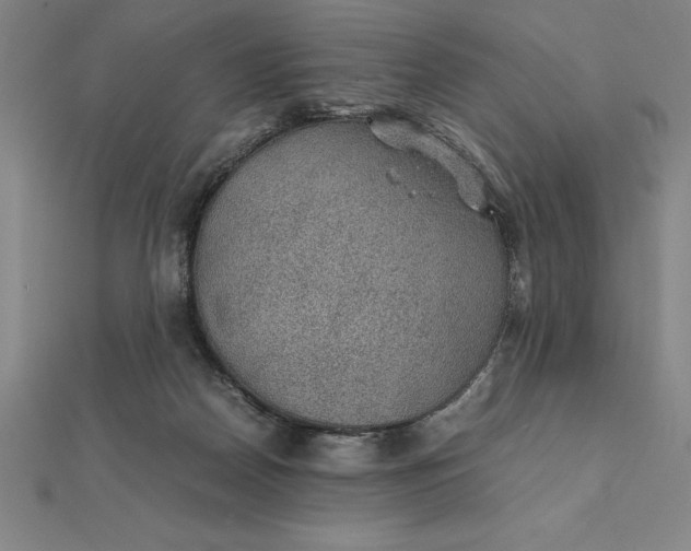 X0000112110170200908251219