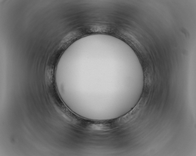 X0000112110171200908251219