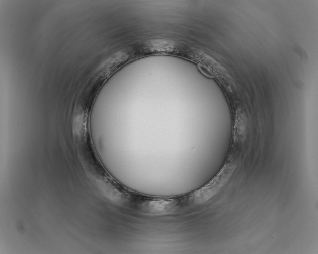 X0000112110172200908251219